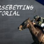 How Do You Bet on Horse Racing for Beginners?